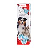 BEAPHAR - Zahngel Für Hunde Und Katzen - Zahnpflege Ohne Zahnbürste - Schützt vor Plaque Und...