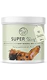 Annimally Barf Zusatz Pulver für Hunde 500g, Barf Complete Vitamine & Mineralien Mix für die...