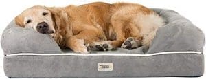 SCM Orthopädisches Hundebett | Memory Foam | Gelenkschonend