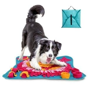 Nobleza Schnüffelteppich für Hunde | Intelligenzspielzeug | Waschbar