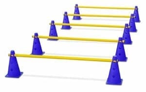 HAEST Steckhürdenset | Agility Set Hunde