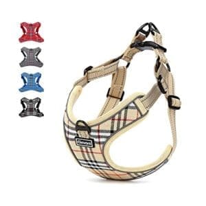 Elevant Hundegeschirr Einstellbar| Reflektierend | Weich Gepolstert