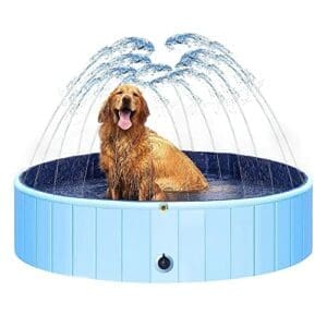 Larother Hundepool mit Sprinkler | 120×30 | Hundedusche