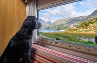 Hundeurlaub in Deutschland