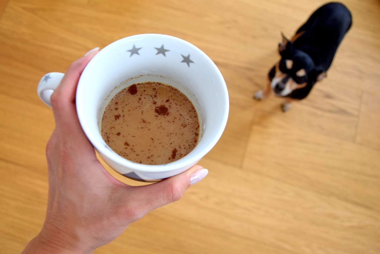 Drfen Hunde Kaffeetrinken