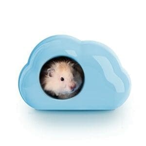 BUCATSTATE Keramikhaus für Hamster |  Wolken-Form