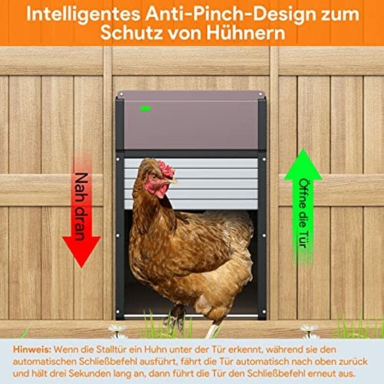 CHAMUTY Automatische Hühnerklappe Aus Aluminium – Mit LCD-Display, Timer, Manueller Steuerung & Einklemmschutz – Batteriebetrieben, Wasserdicht