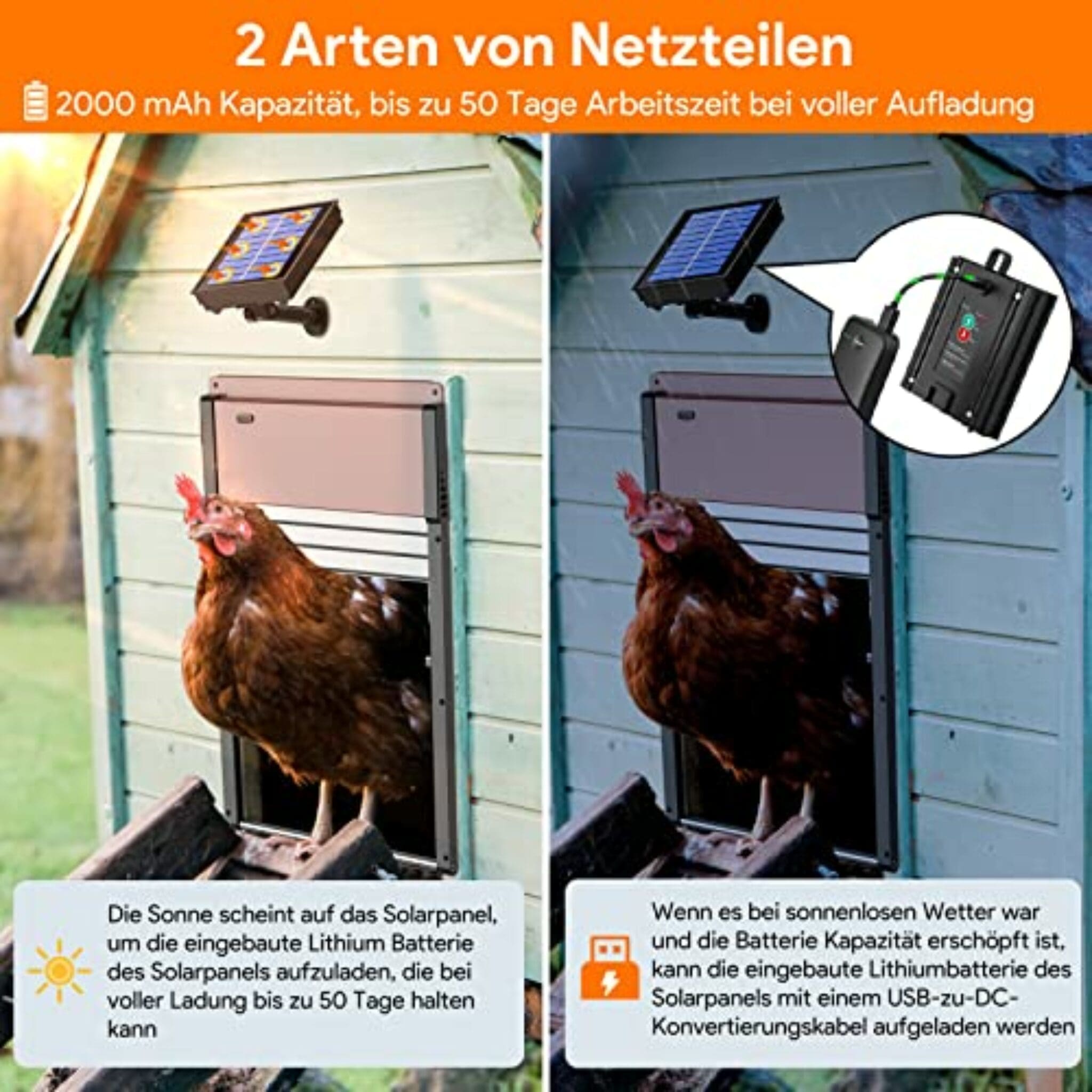 Automatische Hühnerklappe Solar Automatische Hühn Produktbild-Vorschau 12