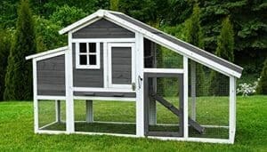 Miweba MyAnimal Hühnerstall MH-32 XXL mit Eiablage | Für 4 Hühner | Nistkasten mit Freilaufgehege | 2 Sitzstangen | Winterfest