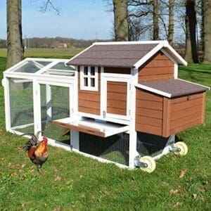Zooprinz Hühnerstall | mit Rollen zum leichten Umstellen | Aus massivem Vollholz und stabilem Draht