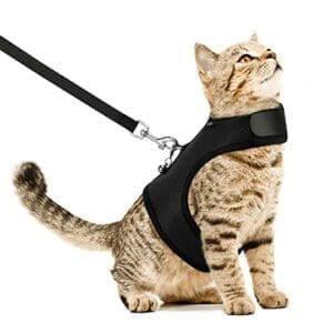 VavoPaw katzengeschirr | Verstellbar