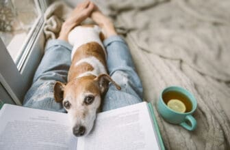 Hund liegt mit dem Kopf auf dem offenen Buch.
