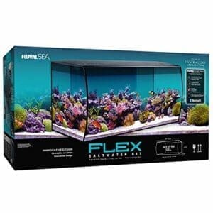 Fluval Flex Marine Aquarium 123L | Meerwasser Aquarium