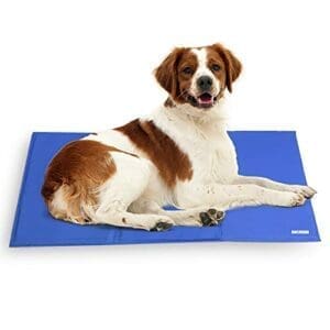 NICREW Kühldecke für Hund | Wasserdicht | Reißfest