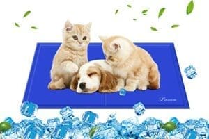 Lauva Kühlmatte für Hund | Selbstkühlende Matte