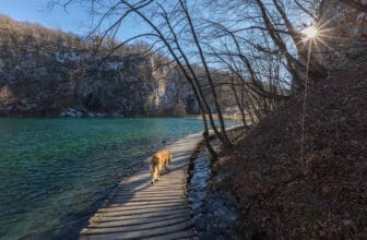 Hund am Plitvicer See