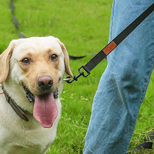 Looxmeer Schleppleine für Hunde, 3m 5m 7m 10m 15m 20m 25m 30m Robuste  Hundeleine Trainingsleine mit Aufbewahrungsbeutel, Handschlaufe und  D-Karabiner : : Haustier