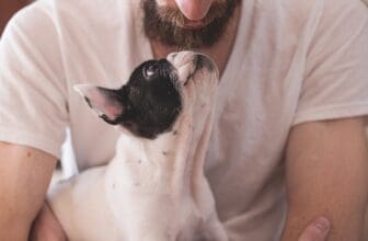 Hund guckt Herrchen an