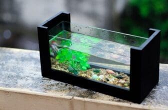 Kleines Aquarium steht auf Fensterbank