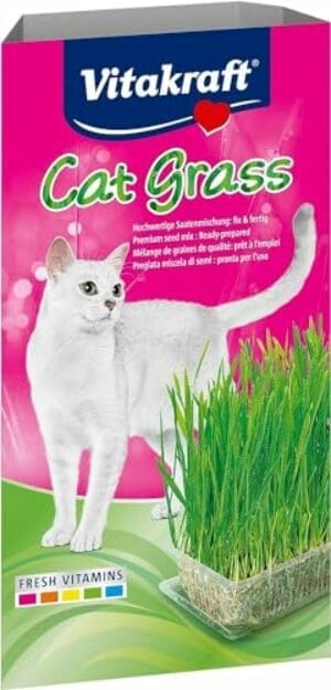 Vitakraft frisches Katzengras | Mit Vitaminen und Mineralien