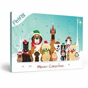 PetPäl Hunde Adventskalender 2023 | Ohne Getreide, Gluten, Zucker, Salz | Leckerli zu Weihnachten für Deinen Hund | Made in Germany