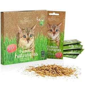 PRETTY KITTY Premium Katzengras Saatmischung | 5 Beutel je 25g Katzengras Samen für 50 Töpfe fertiges Katzengras