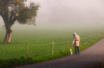 Gassi bei schlechteren Wetter