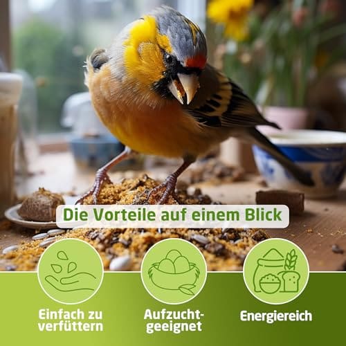 Mangime Per Uccellini Vendita Eggersmann Volaris 3 Kg Di Grani Grassi, Mangime Per Uccelli Selvatici Semi Per Uccellini Selvatici