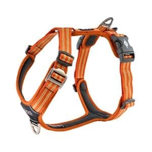 DOG Copenhagen Hundegeschirr | V2 Walk Harness (Air)