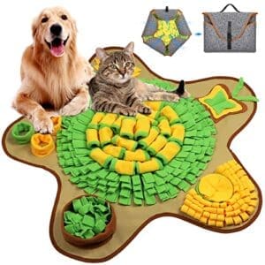 HomeMall Schnüffelteppich | Waschbar