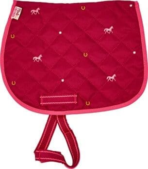 Die Spiegelburg – Schabracke Pferdefreunde