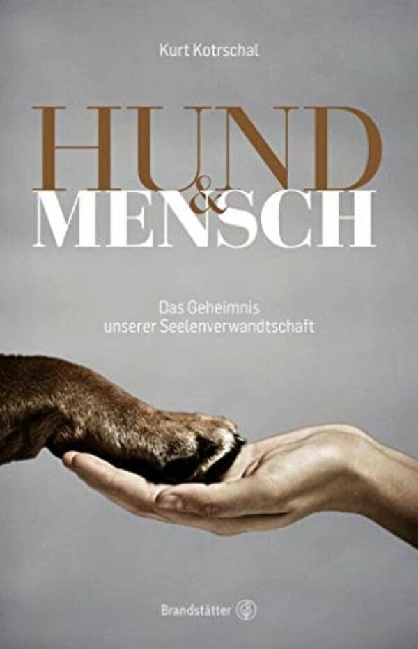 Hund & Mensch | Das Geheimnis unserer Seelenverwandtschaft
