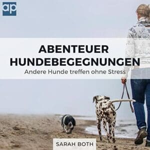 Abenteuer Hundebegegnungen | Andere Hunde treffen ohne Stress