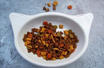 Katzenfutter Leitfaden