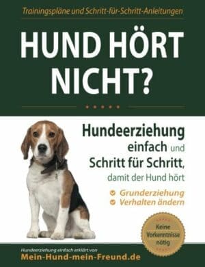Hund hört nicht? – Hundeerziehung einfach und Schritt für Schritt