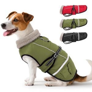 Woiil Hundemantel Winter, Hundemantel Wasserdicht für Kleine Hunde mit Verstellbaren Schultergurten, Hundejacke aus Fleece, Reflektierende Streifen, Geeignet für Jack Russells(M,Olivgrün)