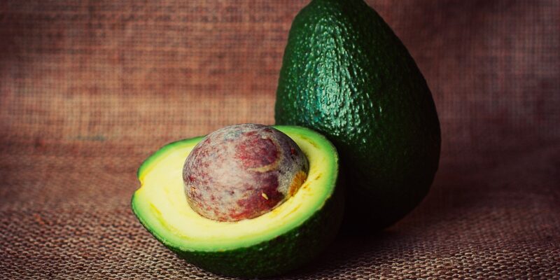 Dürfen Wellensittiche Avocado essen